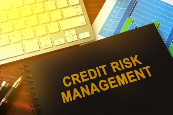 Book with title credit risk management oon it